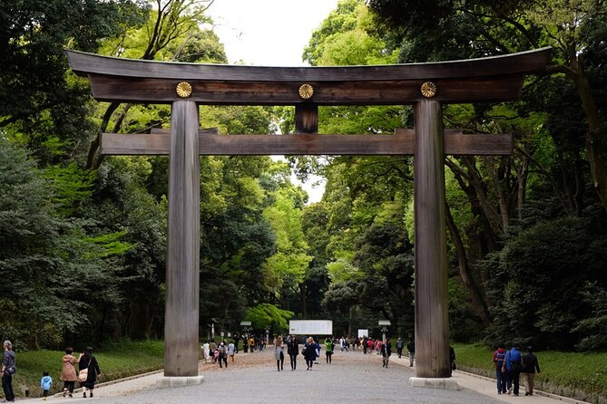 Private Full-Day Guided Tour in Tokyo: Customized Just for You - Good To Know