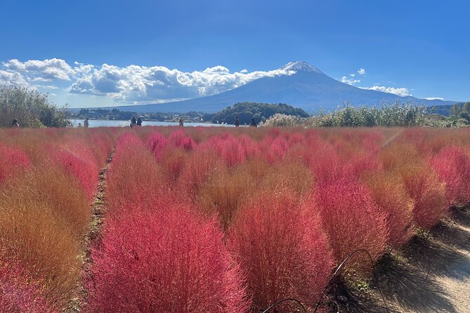 Private Full Day Tour in Mt. Fuji With Pickup - Good To Know