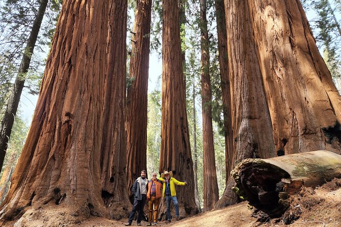 Private Guided Hiking Tour - Sequoia National Park - Good To Know