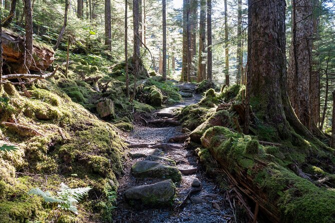 Private Ketchikan Mountain Lake Extended Trek to Alpine Overlook - Good To Know