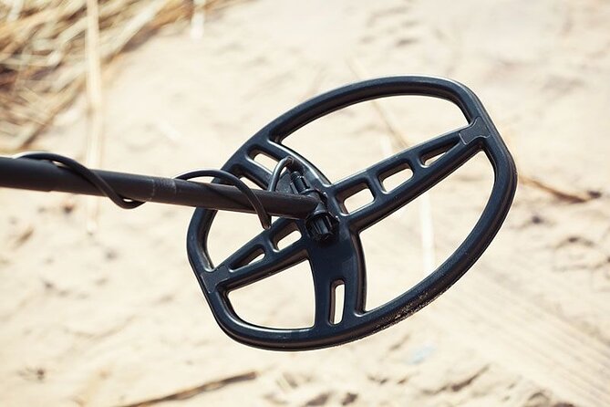 Private Metal Detecting Tour to Simmons Island Beach of Kenosha - Good To Know