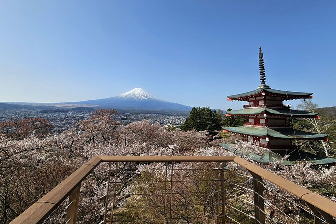 Private Mount Fuji Day Trip From Tokyo by Car - Good To Know