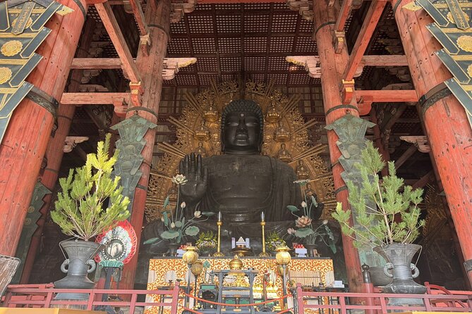 Private Nara Tour and Sake Tasting (Departing From Kyoto/Nara) - Good To Know