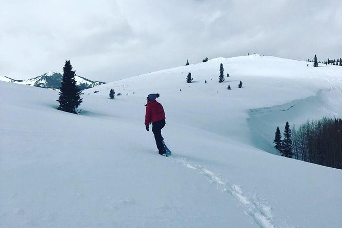 Private Park City Snowshoe Excursions (9:30am/12:30pm Start Time) - Good To Know