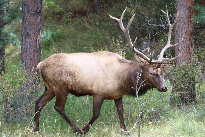 Private Rocky Mountain National Park 6 Hour Tour - Good To Know