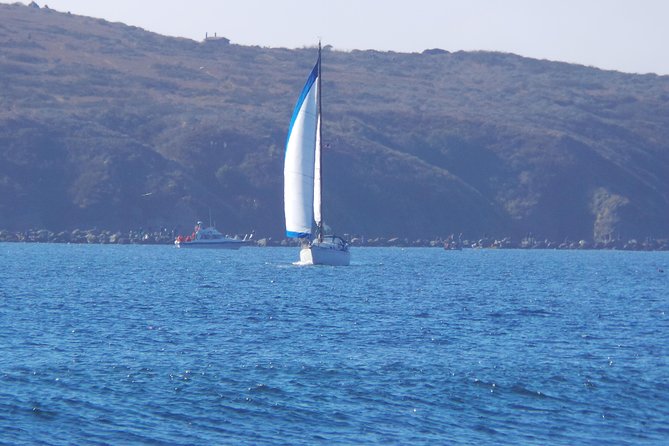 Private Sailing Tour of Bodega Bay - Good To Know