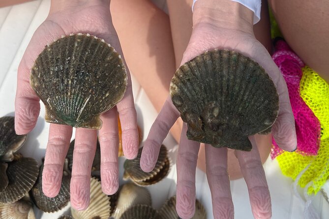Private Scallop Charter in Crystal River - Good To Know
