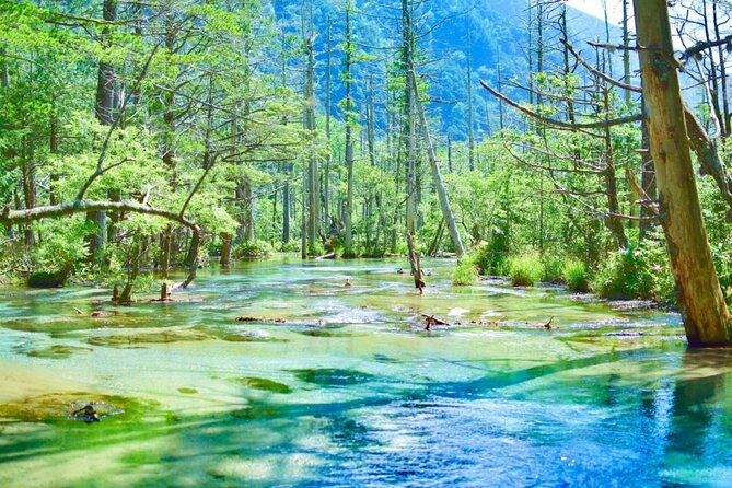 Private Shinhotaka Ropeway and Kamikochi Tour - Good To Know
