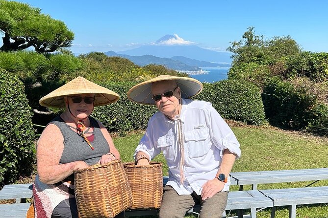Private Shizuoka Tour From Shizuoka Station / Sedan Taxi - Good To Know