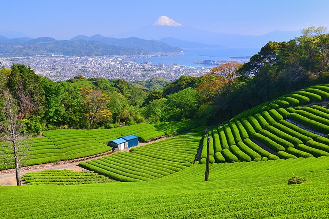 Private Shizuoka Tour From Shizuoka Station / Van Taxi - Good To Know