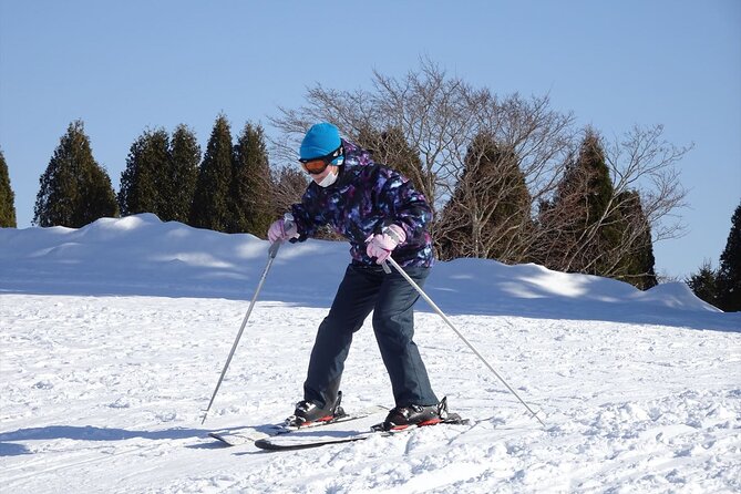 Private Ski Lesson for Beginners in Chitose - Good To Know