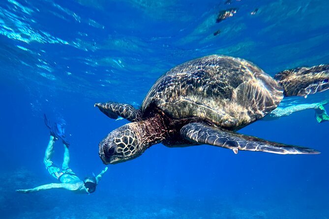 Private Snorkel With Beach Set-Up - Good To Know