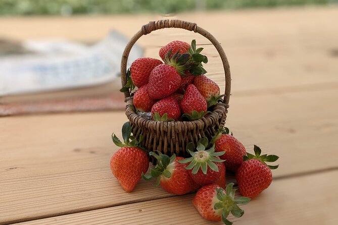 Private Tour Meet the Sheep of Aso and Pick Aso Strawberries - Good To Know
