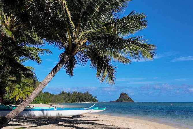 Private Tour Oahu-Full Circle Island-North Shore-Customizable - Good To Know