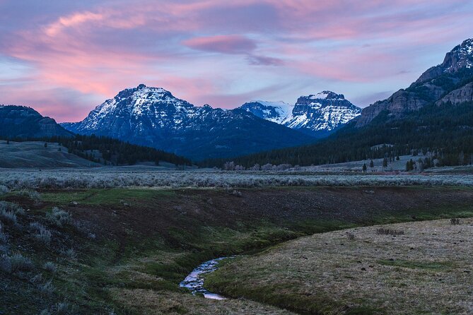 Private Wildlife Photography Tour In Yellowstone National Park - Good To Know
