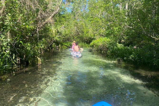Rainbow Springs Electric Paddle Tour - Good To Know