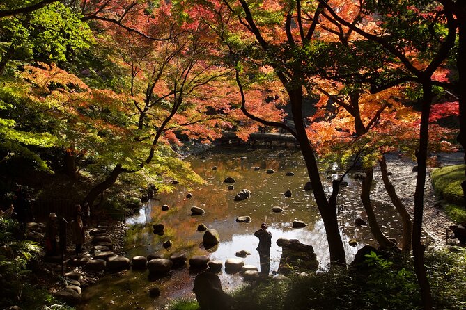 Red, Yellow and Brown - Visit Autumn Leaves Spots in Tokyo - Good To Know