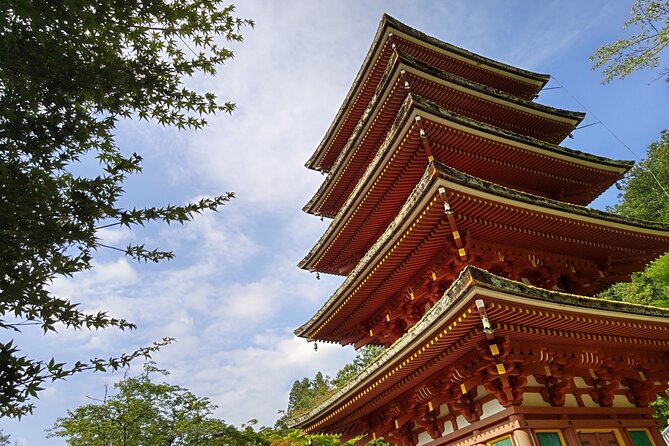 Relaxed Nara Tour From Kyoto Hasedera and Muroji Temples
