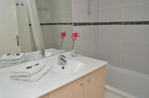 Residence the Pleiades - Property Overview