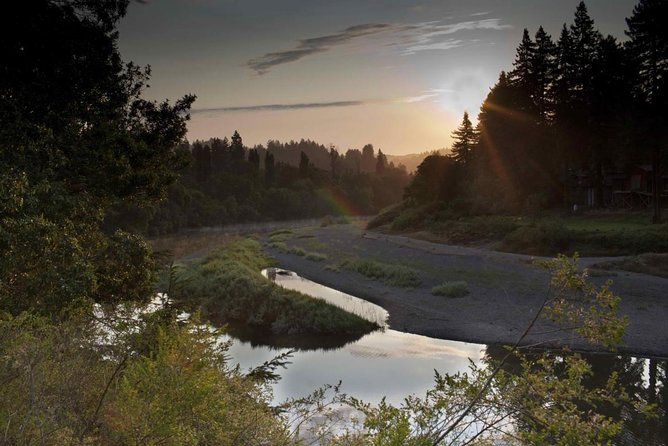Russian River Kayak Tour at the Beautiful Sonoma Coast - Good To Know