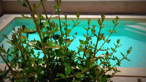 Saint Michel Residence - Good To Know