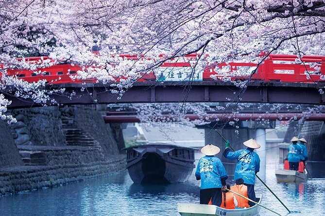 Sakura 1 Day Tour With Charter Train and Boat From Nagoya - Good To Know