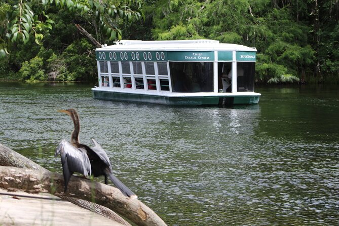 Sassy's Silver Springs Kayak and Paddleboard Tours - Good To Know