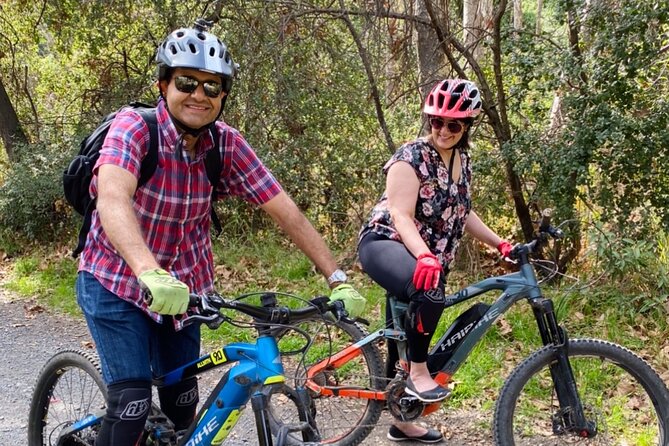 Scenic Santa Monica Electric Mountain Biking Tour (Beginner) - Overview of the Electric Mountain Biking Tour