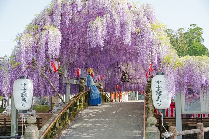 Scenic Tour of Kuroki and Nakayama Wisteria in Fukuoka YokaBus - Good To Know