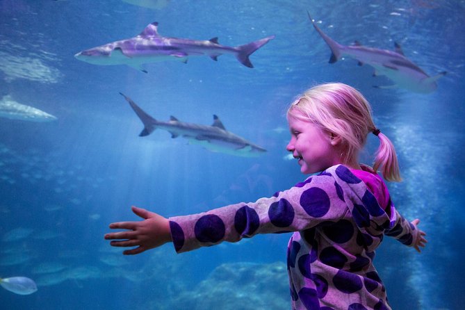 SEA LIFE Michigan Aquarium Admission Ticket - Good To Know