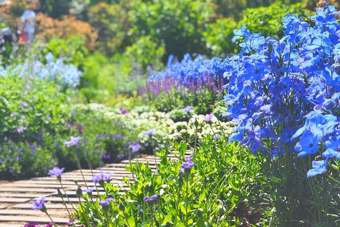 Seasonal Colors at Ashikaga Flower Park From Karuizawa - Good To Know