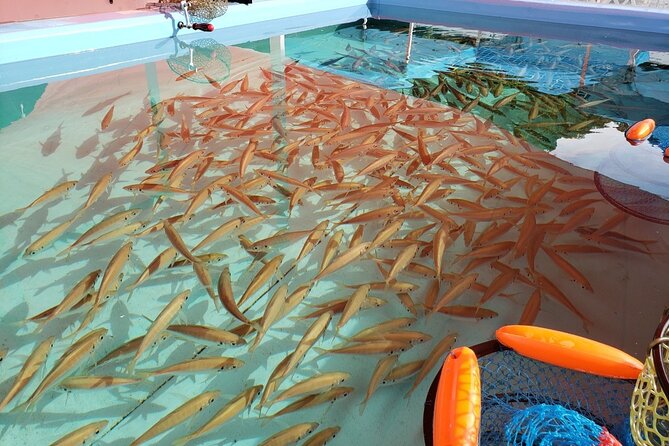 Seawater Fishing Pond and Hamayaki Grill BBQ Experience - Location and Accessibility