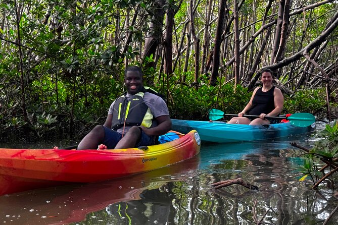 Self Guided EcoTour: Clear/Standard Kayaks -Bonita Springs - Good To Know