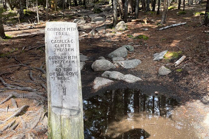 Self Guided GPS Audio Driving Tour Acadia NP From Hulls Cove VC - Good To Know