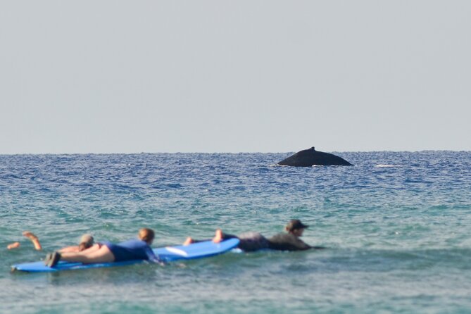 Semi Private Surf Lessons With Experienced Coaches - Good To Know