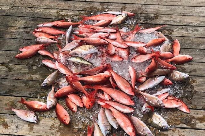 Shared Deep Sea Fishing Trip - Good To Know