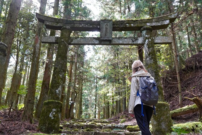 Shinrinyoku Explore the Historic Sites of Shugendo Culture - Good To Know