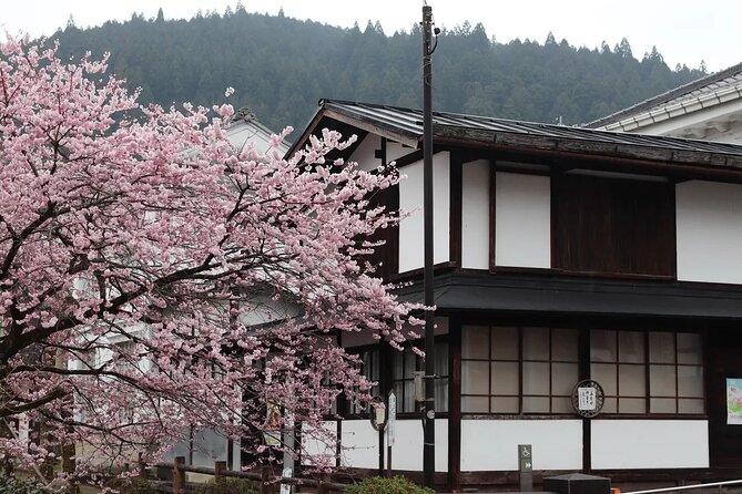 Shirakawago Gujo Hachiman and Hida Takayama One Day Tour | Nagoya - Good To Know