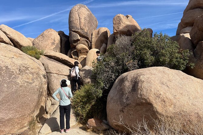 Sightseeing Adventure Tour of Joshua Tree National Park - Good To Know