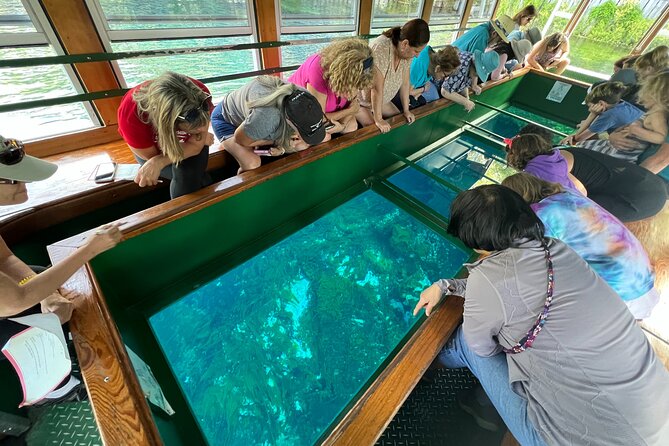 Silver Springs and Glass-Bottom Boat Tour From Orlando - Good To Know