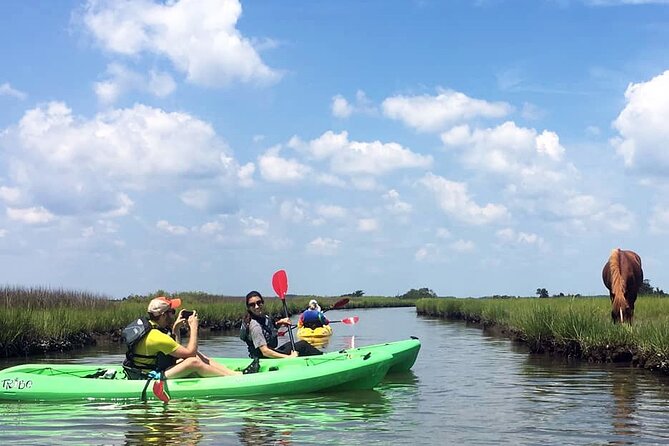 Single Sit on Top Kayak Rental at Assateague Island, MD - Good To Know