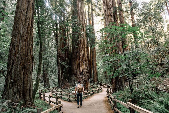 Skip The Bus: Muir Woods & Sausalito by Minivan - Good To Know