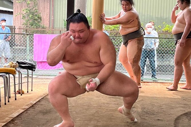 Skip the Line Ticket to Sumo Morning Practice at Nagoya - Good To Know