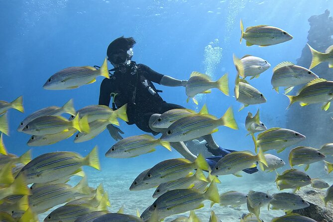 Small Group Discover Scuba Diving From Electric Beach With Photos - Good To Know