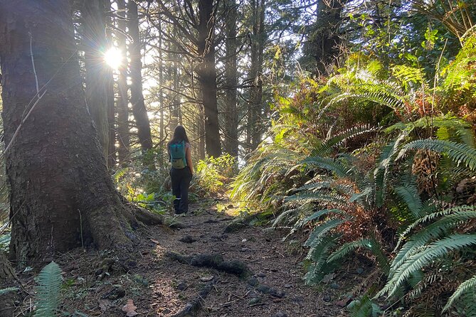 Small Group Hiking Tour to Cannon Beach on the Oregon Coast - Good To Know