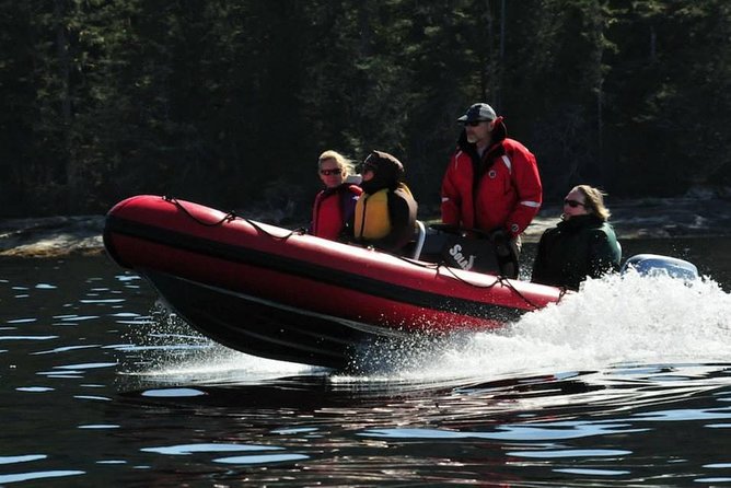 Small-Group Zodiac Wilderness Adventure From Ketchikan - Good To Know