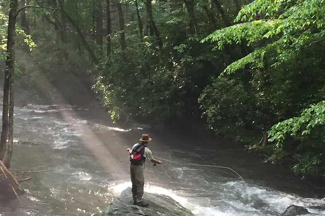 Smoky Mountains National Park Half Day Fly Fishing - Good To Know