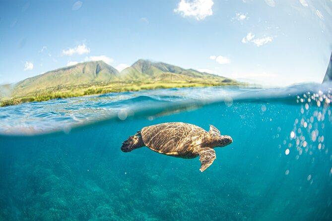 Snorkel Sail Adventure off Kaanapali Beach, Maui - Good To Know