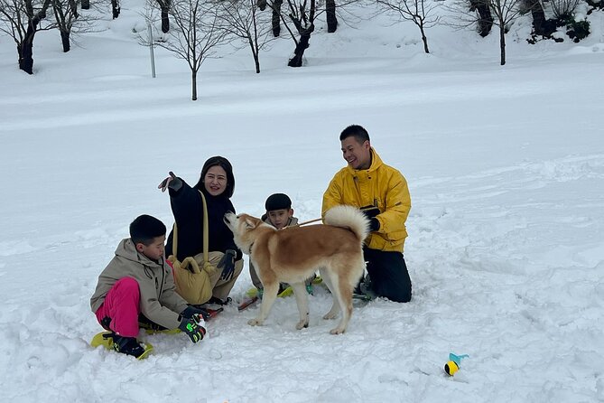 Snowshoe Experience in Akita Yuzawa Winter Park With an Akita Dog - Good To Know