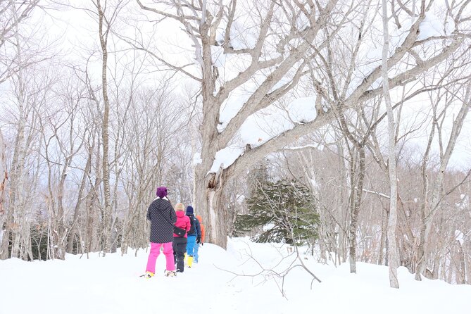 Snowshoe Tours in Niseko Explore Beautiful Snowscapes Adventure - Good To Know